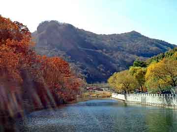 一肖一碼一一肖一子在深圳，以夢(mèng)釋義，解讀并落實(shí)