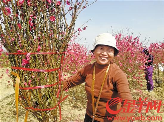 桃花族最新潮流，探索時代前沿的浪漫風(fēng)情
