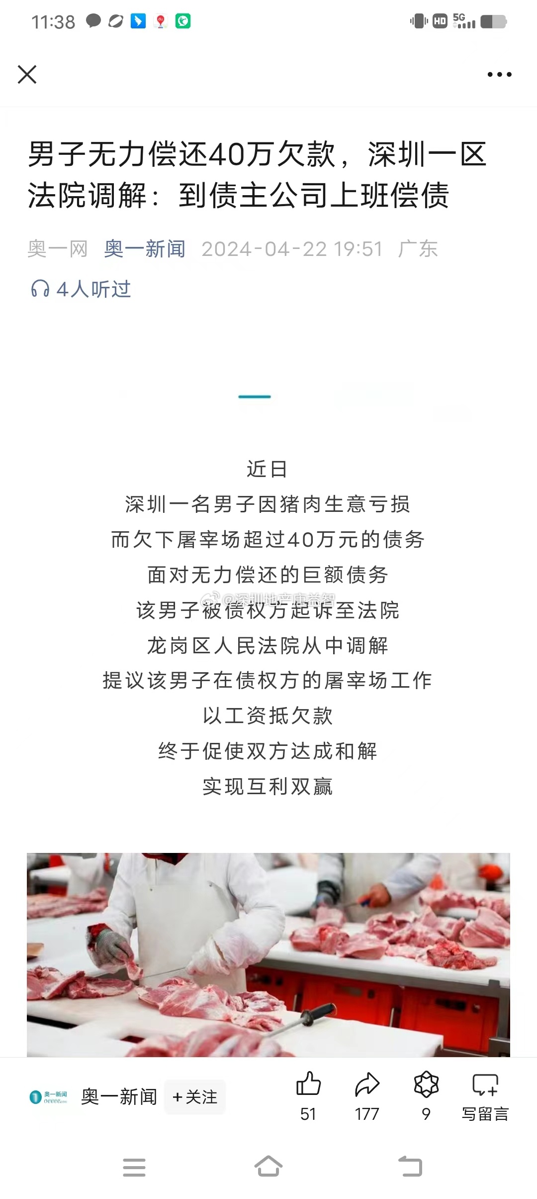 一肖一碼一一肖一子在深圳，瞬時(shí)釋義、解釋與落實(shí)